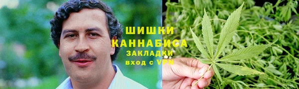 мдпв Кемь