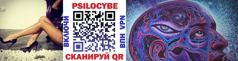 Псилоцибиновые грибы прущие грибы  даркнет сайт  Трубчевск 